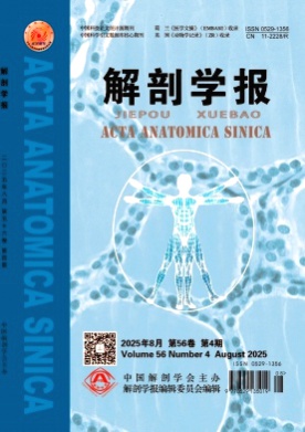 解剖学报杂志
